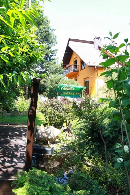 Galeria - zdjęcie 13