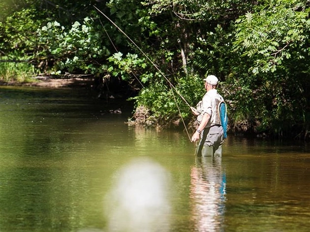 nasza oferta - zdjęcie 7