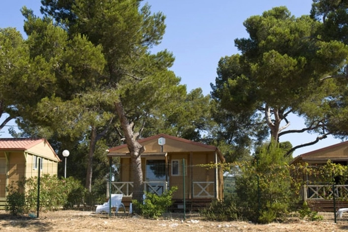 nasza oferta - zdjęcie 6