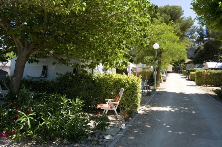 nasza oferta - zdjęcie 5