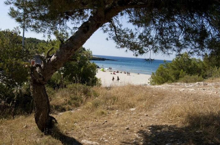 nasza oferta - zdjęcie 4