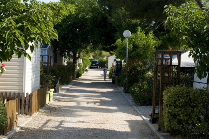 nasza oferta - zdjęcie 1