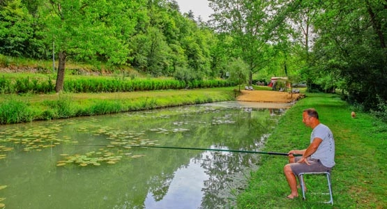 nasza oferta - zdjęcie 3