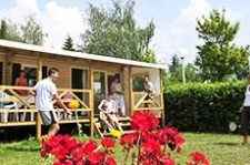 nasza oferta - zdjęcie 5