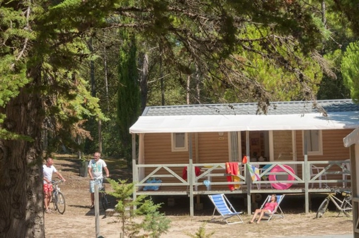 nasza oferta - zdjęcie 6