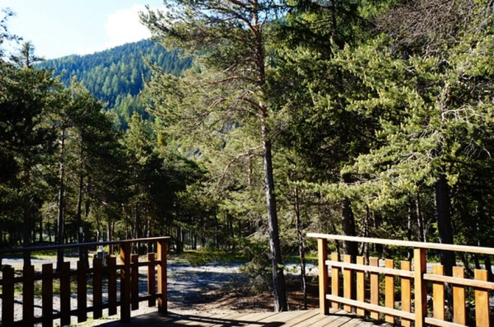 nasza oferta - zdjęcie 6