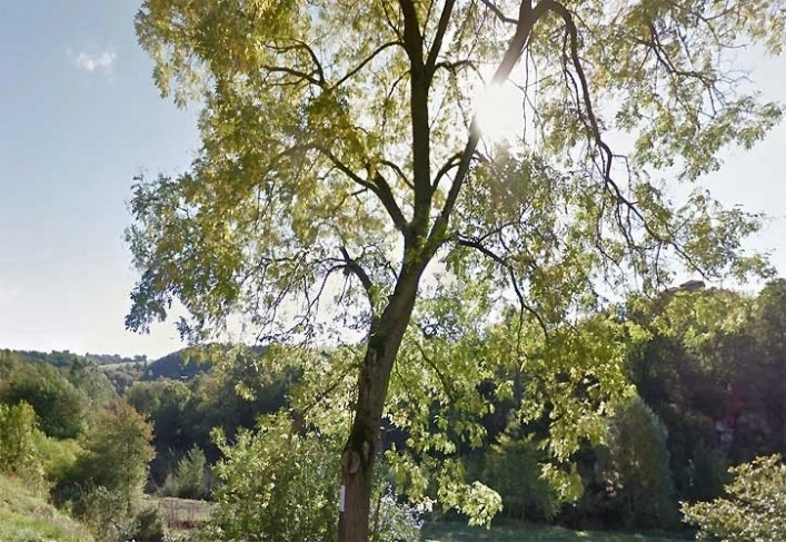 nasza oferta - zdjęcie 6