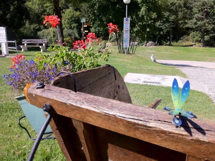 nasza oferta - zdjęcie 8