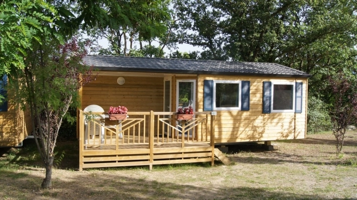 nasza oferta - zdjęcie 11