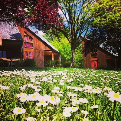 nasza oferta - zdjęcie 16