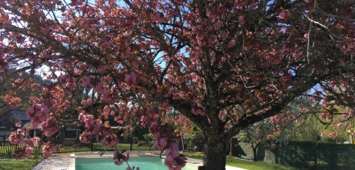 o campingu - zdjęcie 2