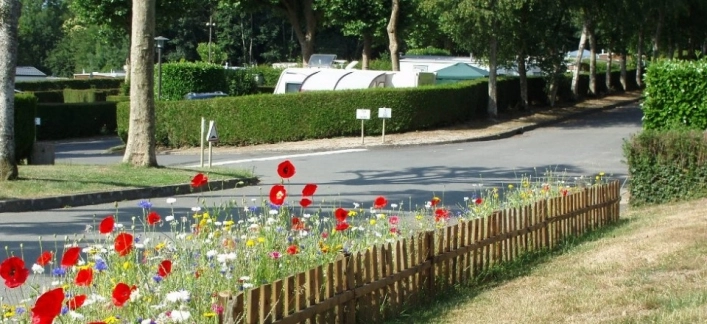 o campingu - zdjęcie 13