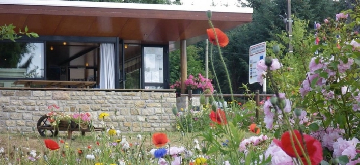 Camping International - zdjęcie 1