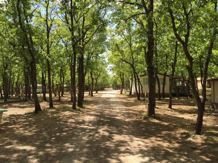 nasza oferta - zdjęcie 8