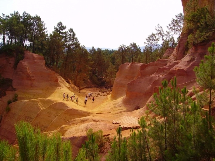 Domaine des Chênes Blancs - zdjęcie 4