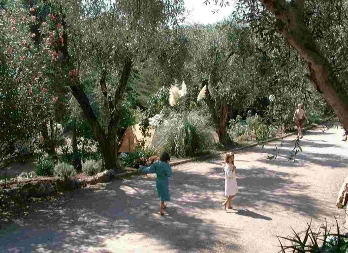 nasza oferta - zdjęcie 1