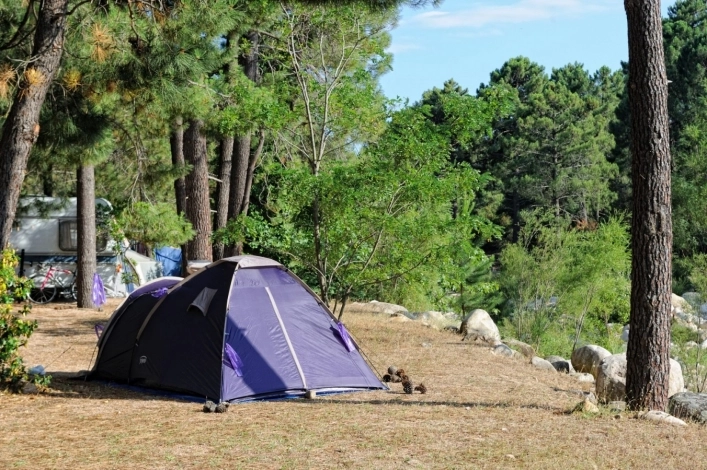 nasza oferta - zdjęcie 20