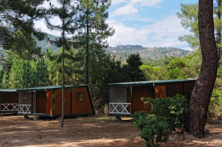 nasza oferta - zdjęcie 18