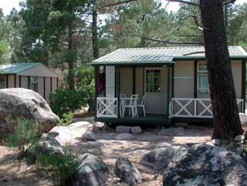 nasza oferta - zdjęcie 16