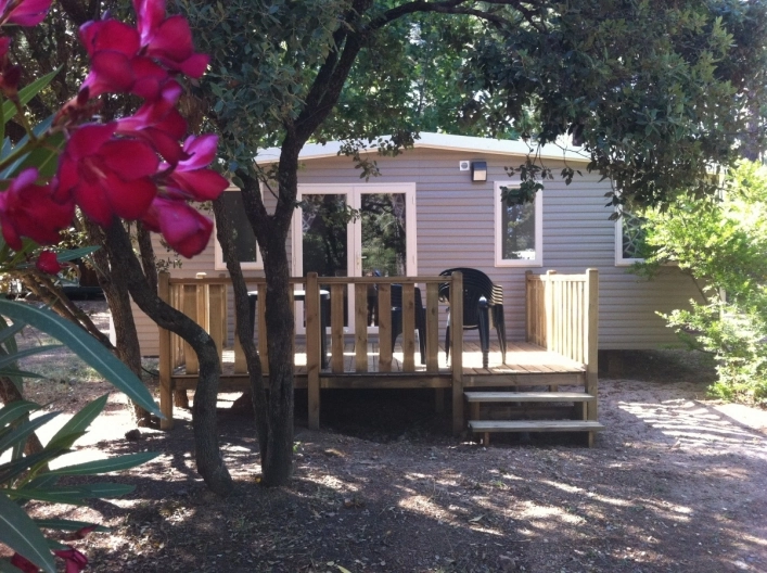 nasza oferta - zdjęcie 13