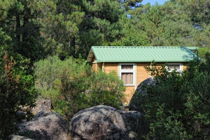 nasza oferta - zdjęcie 11