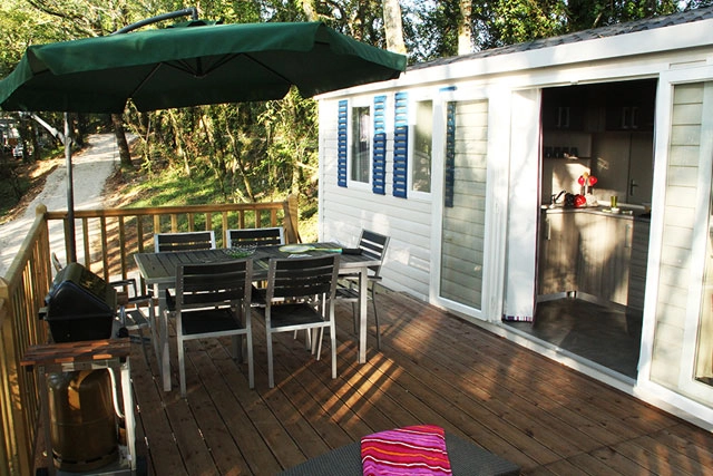 nasza oferta - zdjęcie 17