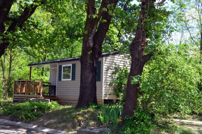 nasza oferta - zdjęcie 11