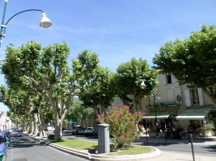 Domaine de la Coronne - zdjęcie 1