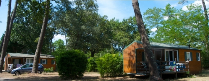 CAMPING LE PIN - zdjęcie 2