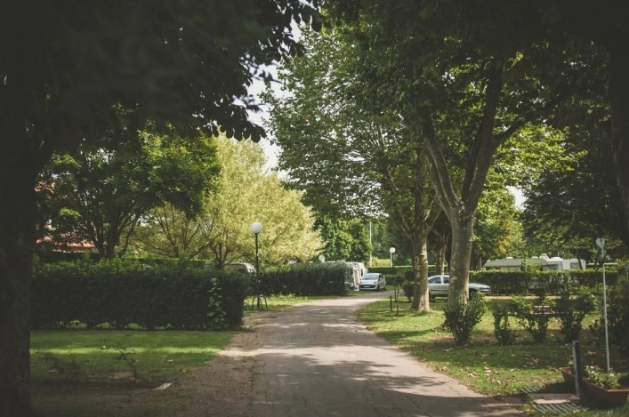 nasza oferta - zdjęcie 2