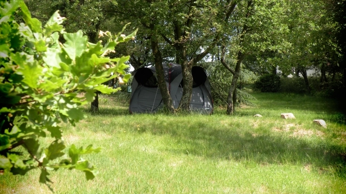 nasza oferta - zdjęcie 2