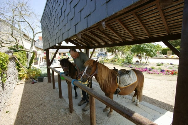 Camping Sites et Paysages Chantepie ***** - zdjęcie 2