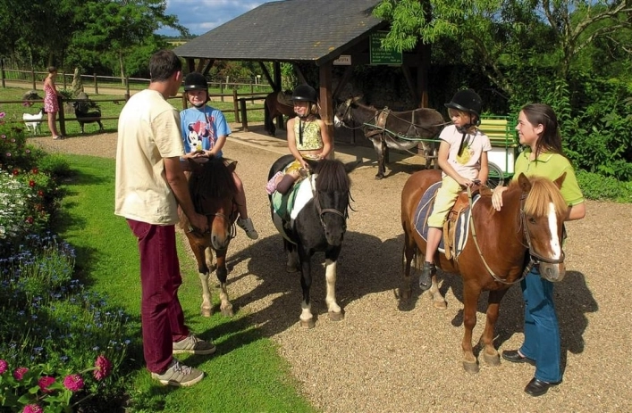 Camping Sites et Paysages Chantepie ***** - zdjęcie 1