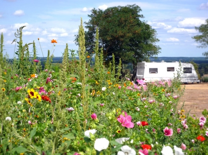 Camping Sites et Paysages Chantepie ***** - zdjęcie 1