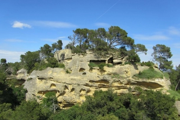 Domaine de la Vallée Heureuse - zdjęcie 4