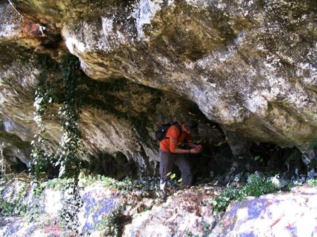 nasza oferta - zdjęcie 9