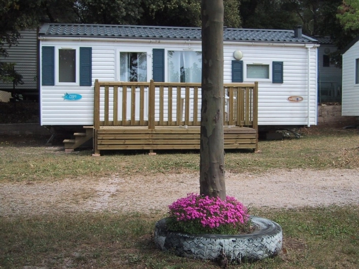 nasza oferta - zdjęcie 8