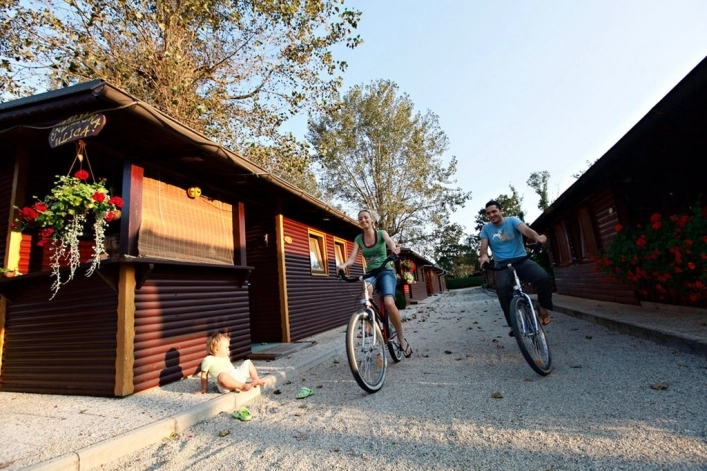 nasza oferta - zdjęcie 13