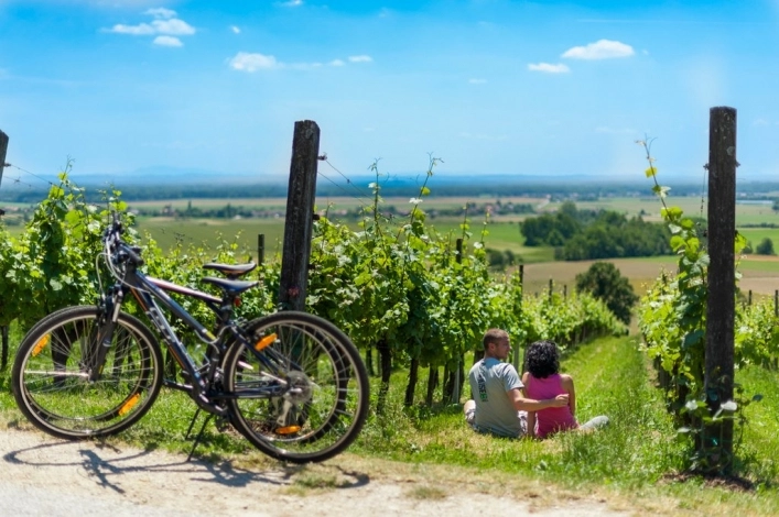 Camping Terme 3000 **** - zdjęcie 4