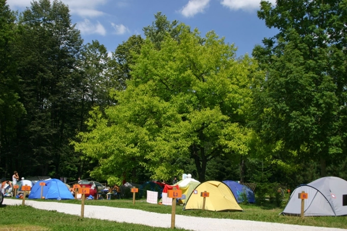 nasza oferta - zdjęcie 4