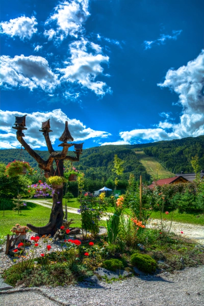 nasza oferta - zdjęcie 5