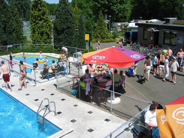 nasza oferta - zdjęcie 12