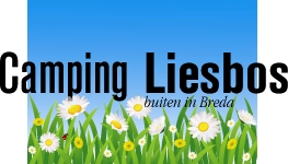 nasza oferta - zdjęcie 10