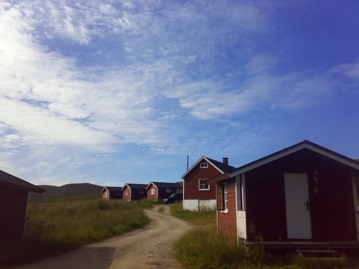 nasza oferta - zdjęcie 13