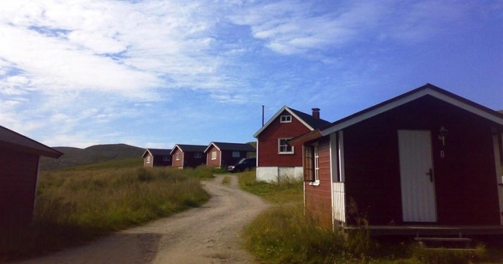 nasza oferta - zdjęcie 11