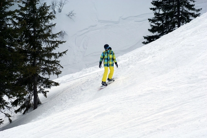 nasza oferta - zdjęcie 16