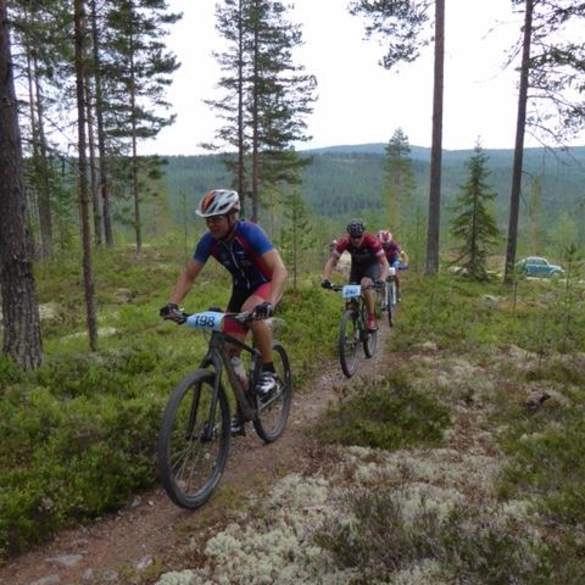 nasza oferta - zdjęcie 15