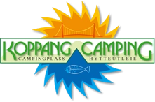 nasza oferta - zdjęcie 14