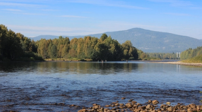 nasza oferta - zdjęcie 9