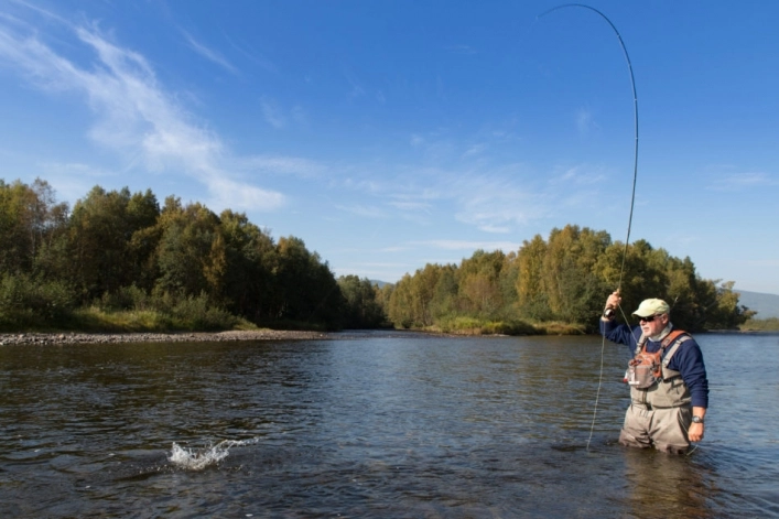 nasza oferta - zdjęcie 8